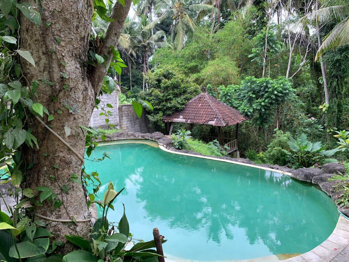 Wonder-Land Villa Ubud Eksteriør billede