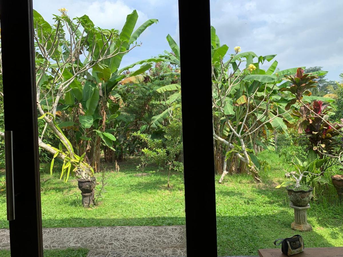 Wonder-Land Villa Ubud Eksteriør billede