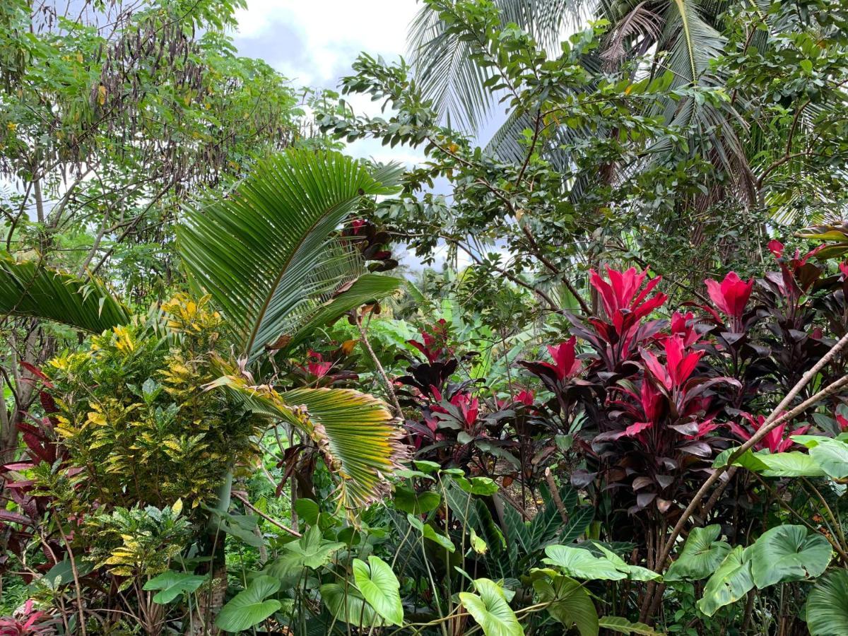 Wonder-Land Villa Ubud Eksteriør billede