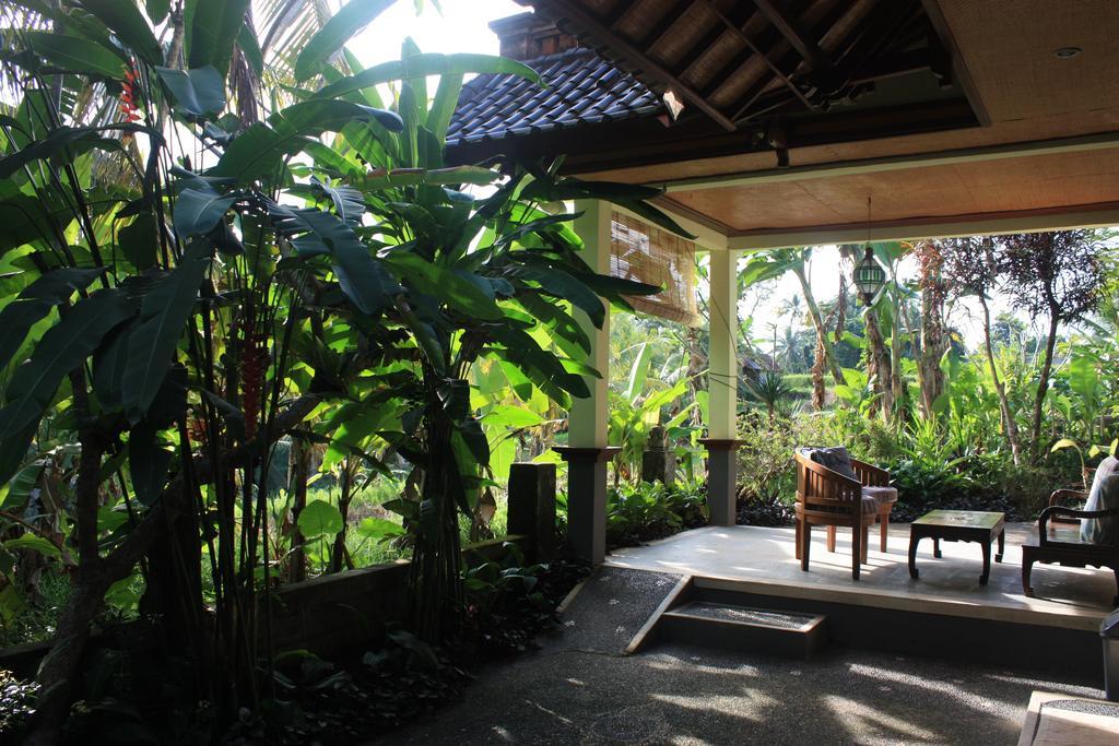 Wonder-Land Villa Ubud Eksteriør billede